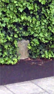 KingstonHill