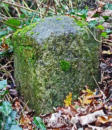 Highwood Hill