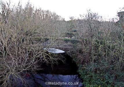 Mad Bridge
