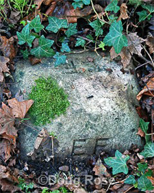 EF No 2